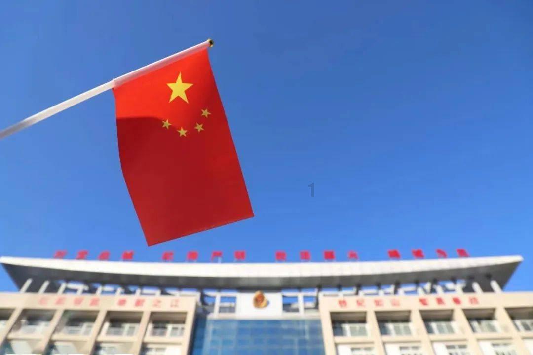 寻找沙漠珍宝