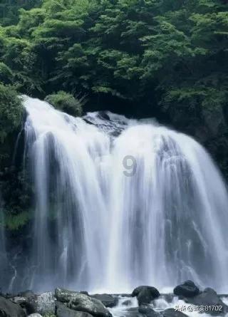 未转变者